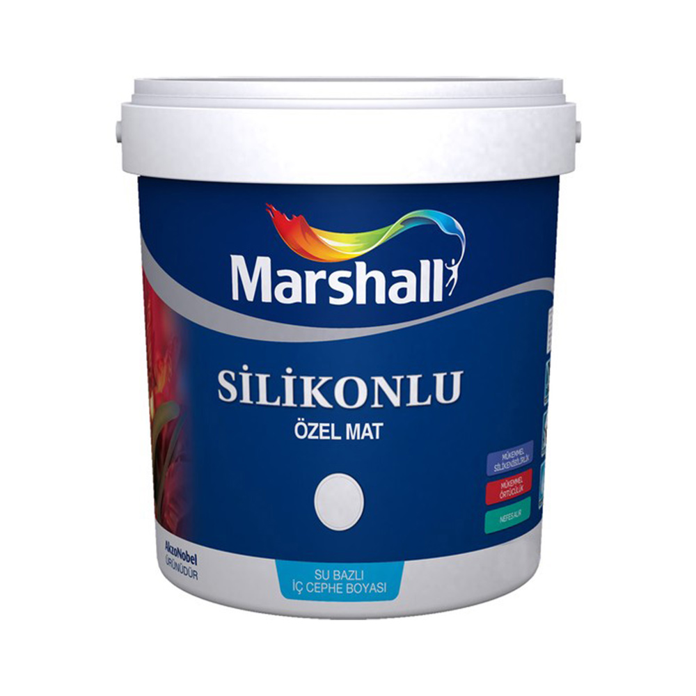 BM-00020614-BM-00020615_paint