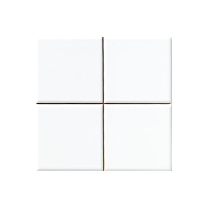 კაფელი Blanco Liso Brillo 20x20 (10x10)