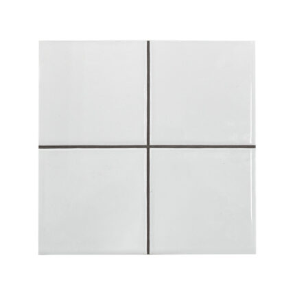 კაფელი Blanco Liso Mate 20x20 (10x10)