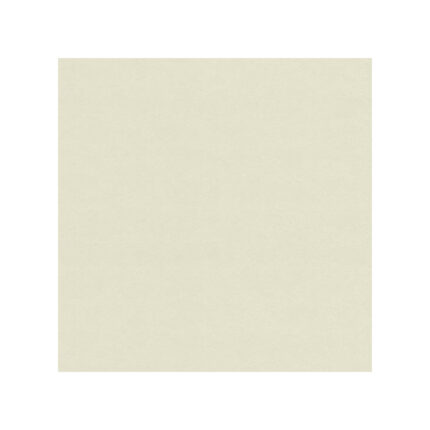 შპალერი ქაღალდის 0.53*10მ 11019417 Lutece