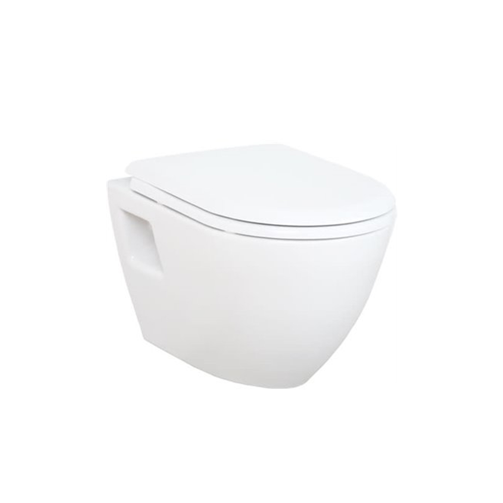 ab019970_-_Hanging_toilet